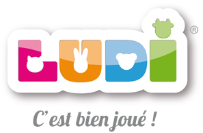 logo ludi la mere parfaite est une connasse.jpg