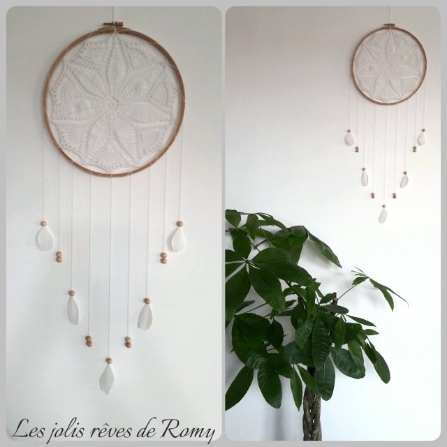 14438751_585077138331857_1580173586_o