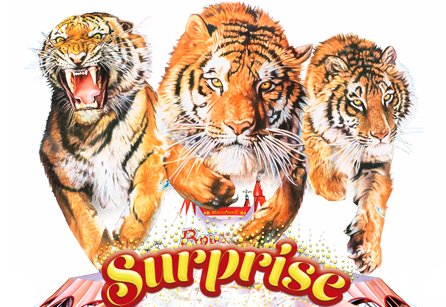 40x60-surpriseontour-det-petit2