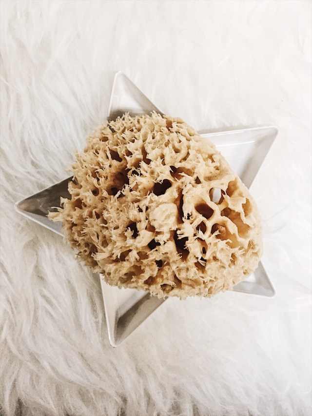 Processed with VSCO with a6 preset